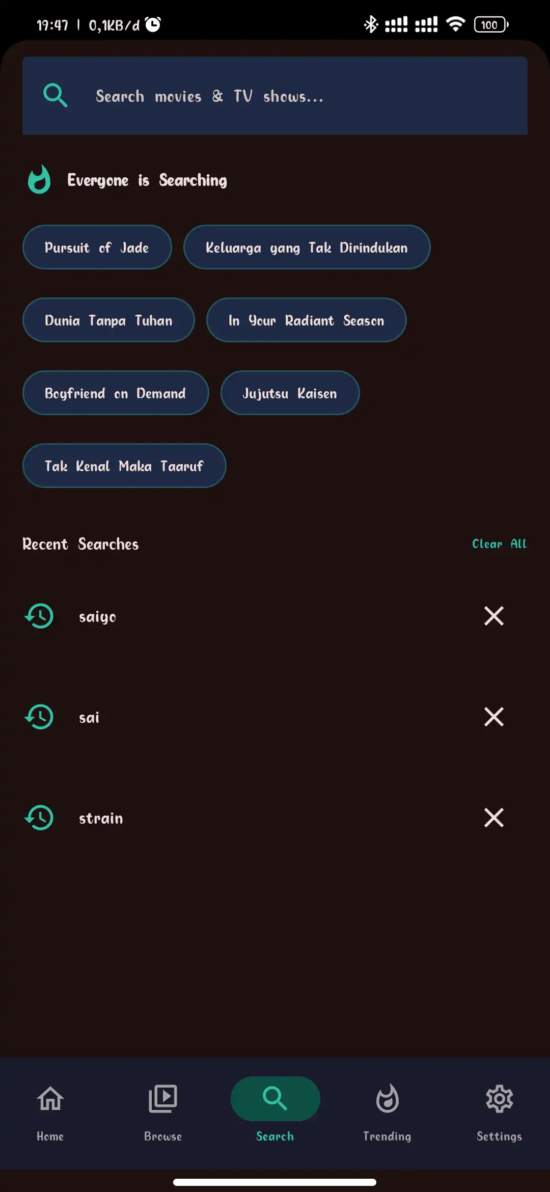 Search Interface